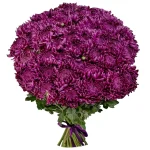 Букет из 51 одноголовой хризантемы бигуди