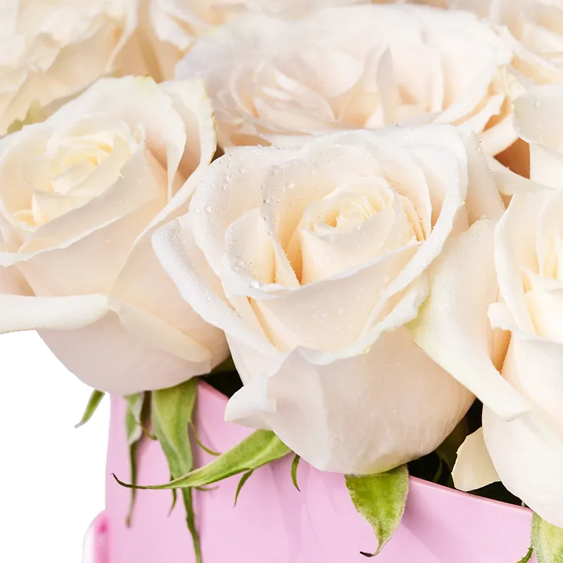 Цветы в коробке Афины